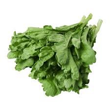 Tonghou: Understanding Its Meaning, Applications, and Impact